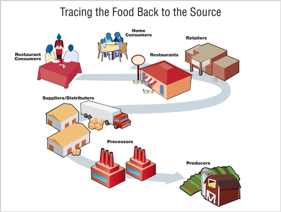tracing the food back to the source