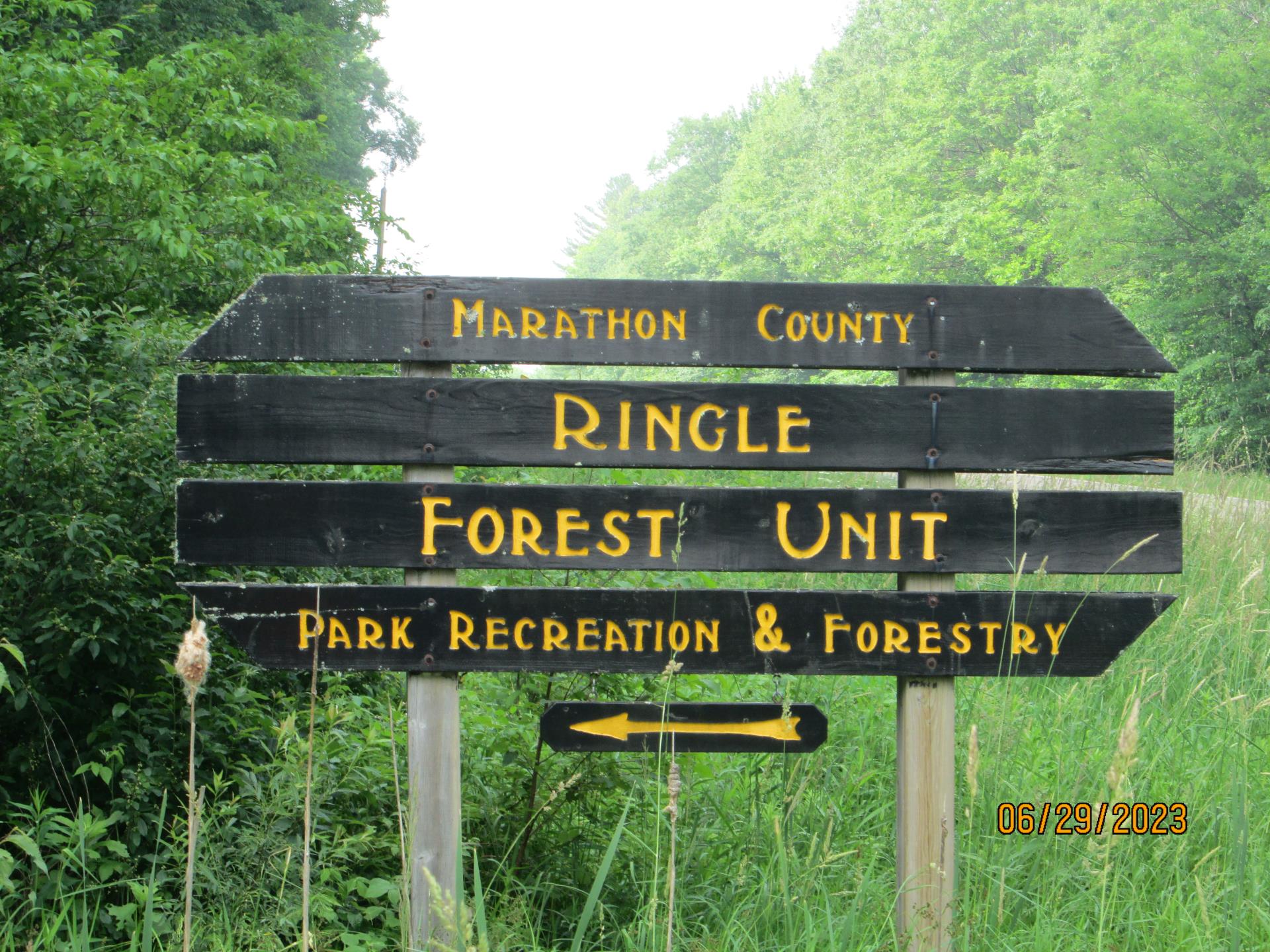 Ringle Sign